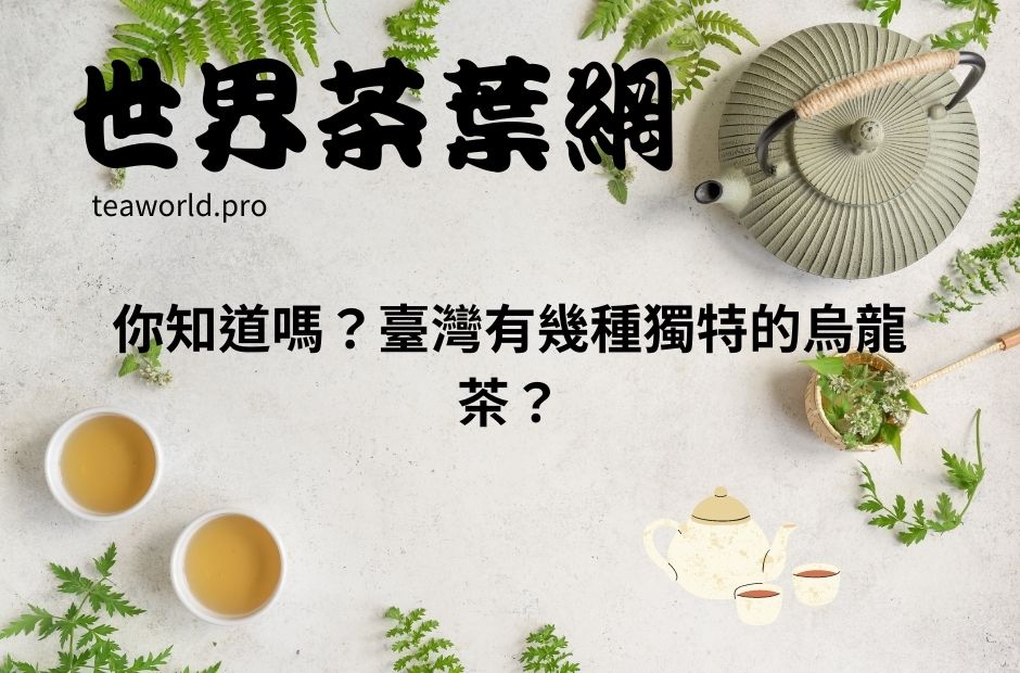 你知道嗎？臺灣有幾種獨特的烏龍茶？