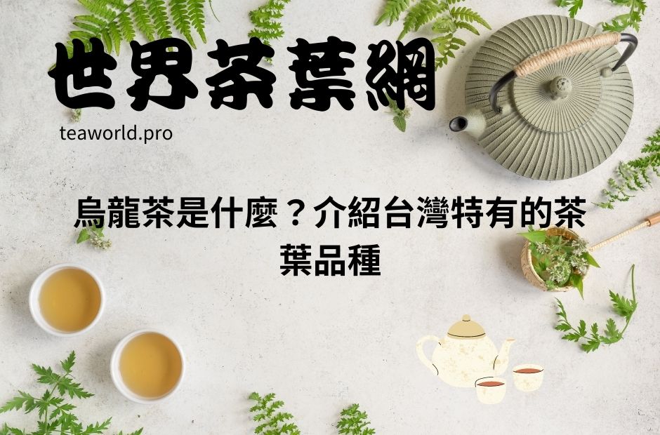 烏龍茶是什麼？介紹台灣特有的茶葉品種