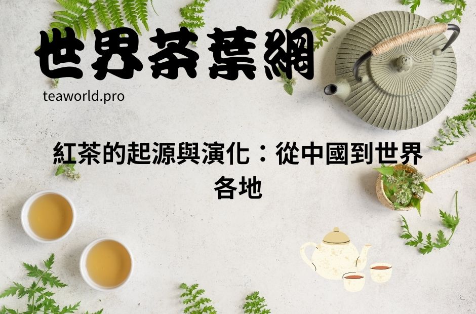 紅茶的起源與演化：從中國到世界各地