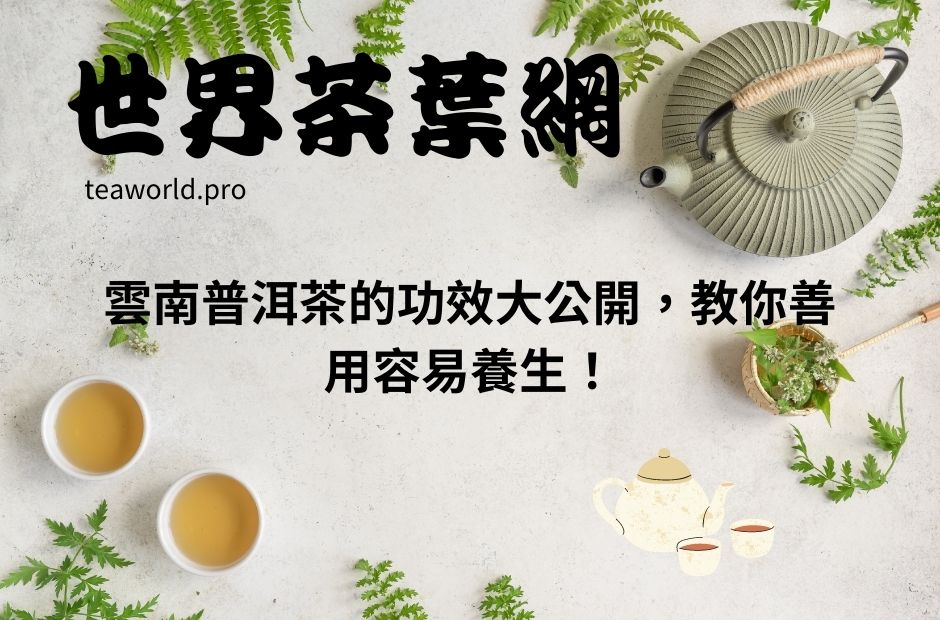 雲南普洱茶的功效大公開，教你善用容易養生！