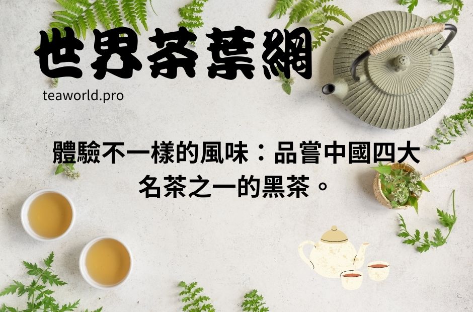 體驗不一樣的風味：品嘗中國四大名茶之一的黑茶。