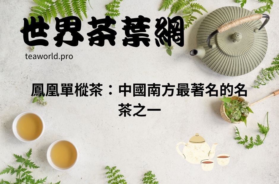 鳳凰單樅茶：中國南方最著名的名茶之一