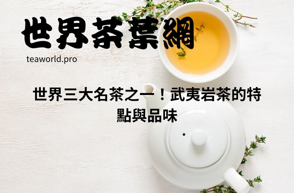 世界三大名茶之一！武夷岩茶的特點與品味