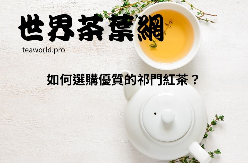 如何選購優質的祁門紅茶？