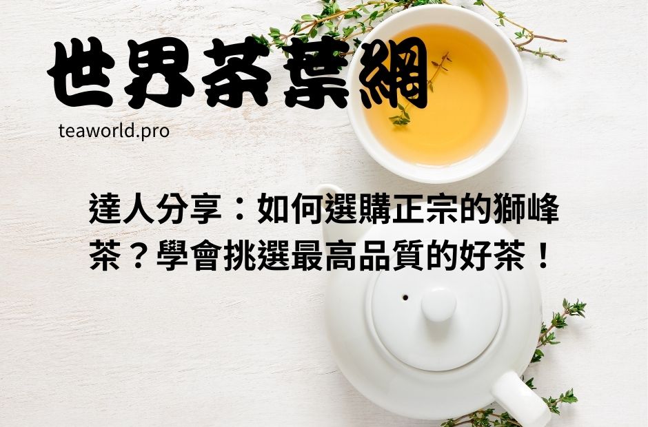 達人分享：如何選購正宗的獅峰茶？學會挑選最高品質的好茶！