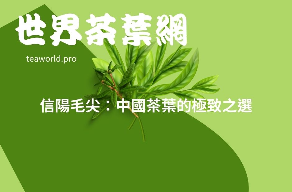 信陽毛尖：中國茶葉的極致之選