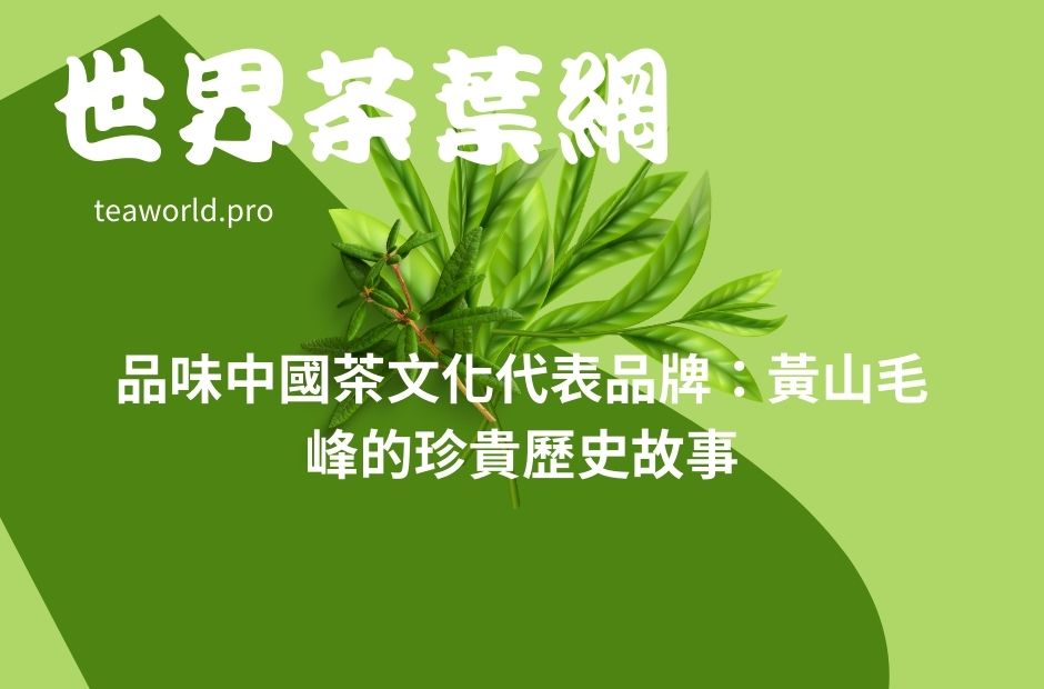 品味中國茶文化代表品牌：黃山毛峰的珍貴歷史故事