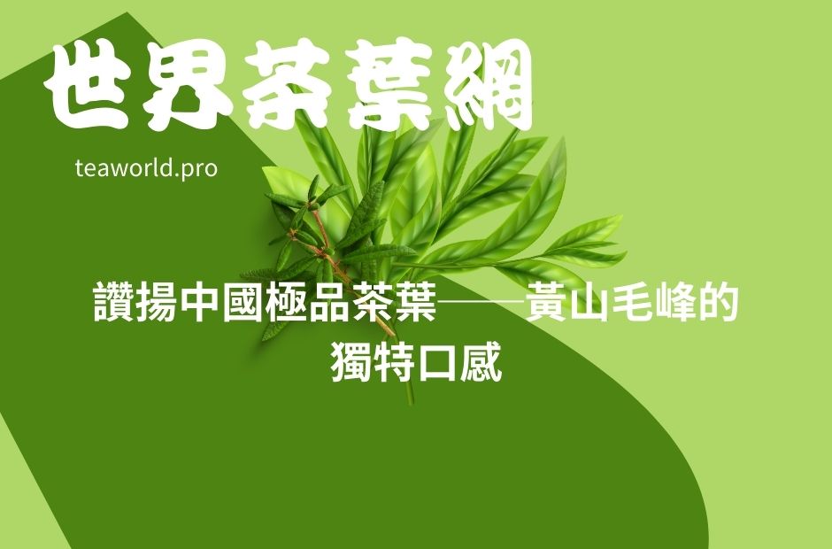 讚揚中國極品茶葉──黃山毛峰的獨特口感