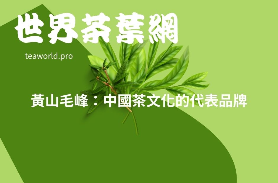 黃山毛峰：中國茶文化的代表品牌