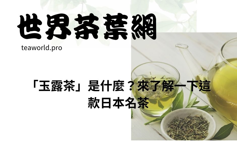 「玉露茶」是什麼？來了解一下這款日本名茶