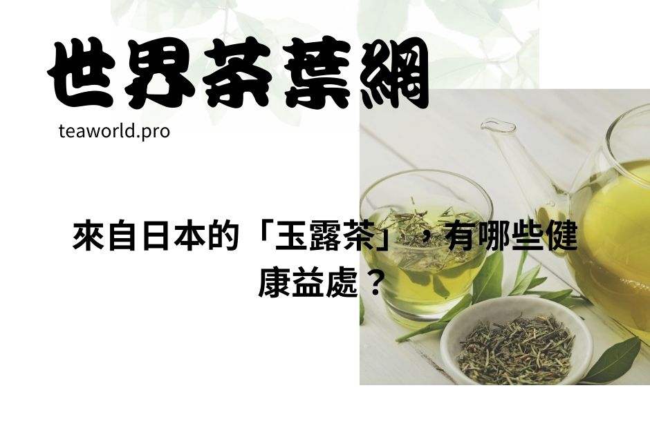 來自日本的「玉露茶」，有哪些健康益處？