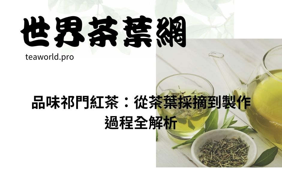 品味祁門紅茶：從茶葉採摘到製作過程全解析