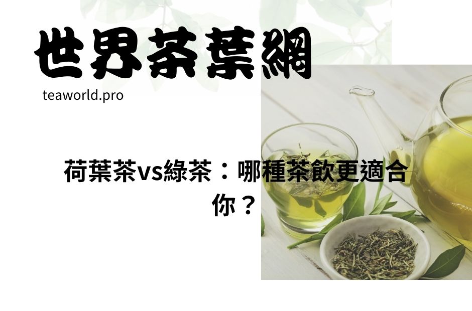 荷葉茶vs綠茶：哪種茶飲更適合你？