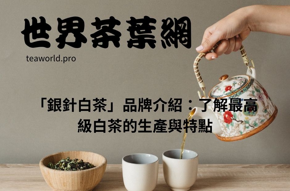 「銀針白茶」品牌介紹：了解最高級白茶的生產與特點